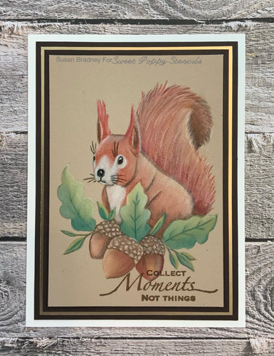 Squirrel A5 Stamp