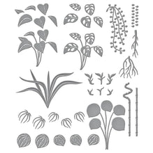 Load image into Gallery viewer, Propagated Plants Etched Dies Spellbinders S6-230