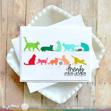Load image into Gallery viewer, Cattitude Stamp Set 421543 Waffle Flower