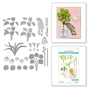 Propagated Plants Etched Dies Spellbinders S6-230