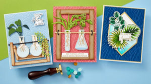 Propagated Plants Etched Dies Spellbinders S6-230