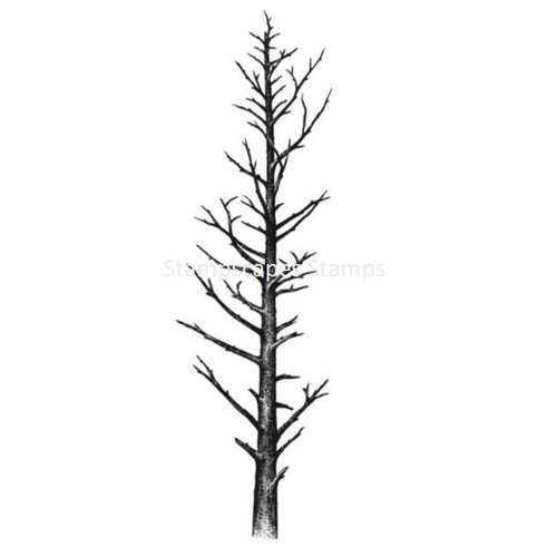 Leafless Pine Large Stampscape Sweet Poppy SG152