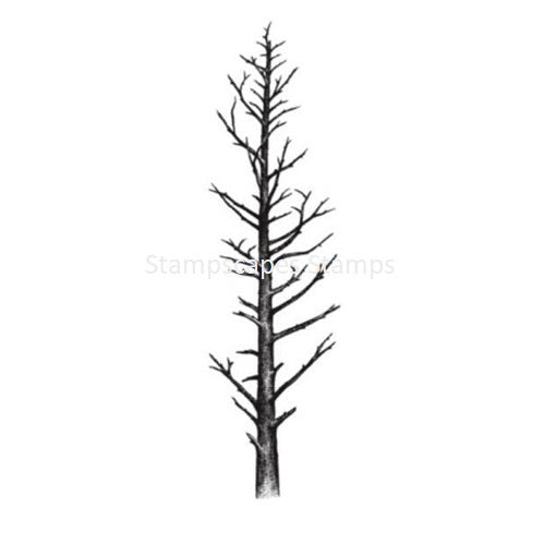 Leafless Pine Small Stampscape Sweet Poppy SE149