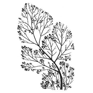 Curvy Branch Stampscapes Sweet Poppy SG131