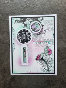 Frayed Frames Cutting Dies #26 AALL & Create