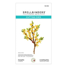 Load image into Gallery viewer, Forsythia Spellbinders S2-402