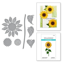 Load image into Gallery viewer, Sunflower Serenade Die S3-494 Spellbinders