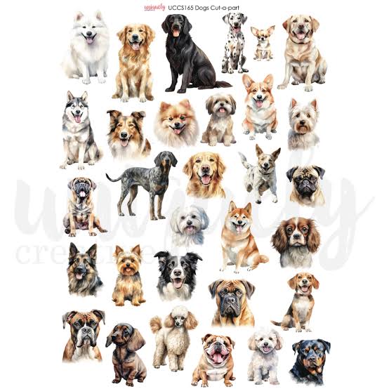 Dogs A4 Cut a part UCCS165 Uniquely Creative