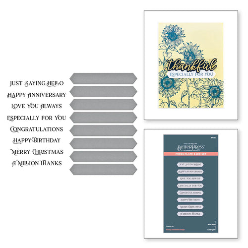 Fancy Sentiment Strips Better Press BP-091 Spellbinders