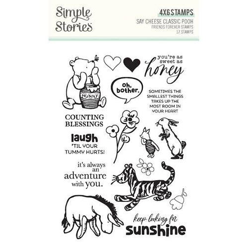 Friends Forever 4x6 Stamps Say Cheese Classic Pooh 23917