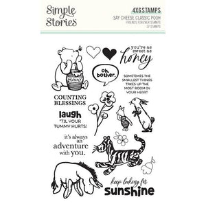 Friends Forever 4x6 Stamps Say Cheese Classic Pooh 23917