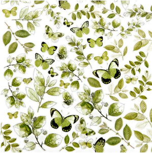 Grove - Acetate Leaves CSG-25095 49 & Market