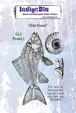 Load image into Gallery viewer, Old Fossil A6 Red Rubber Stamp Set IND0595 IndigoBlu