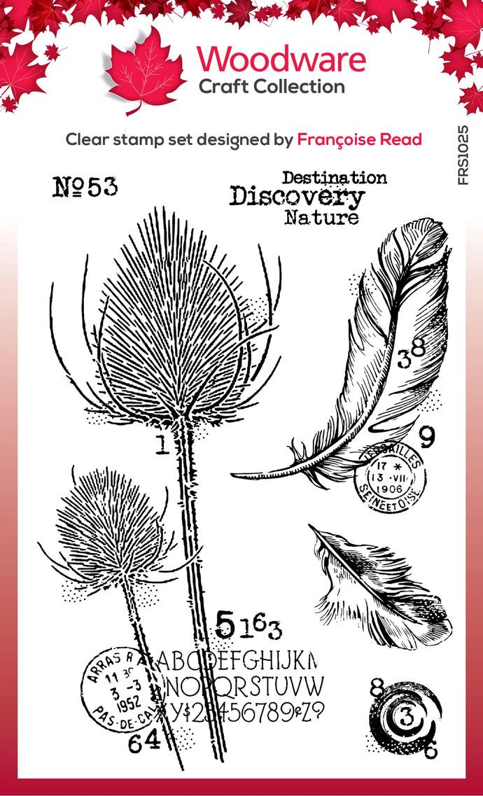 Discovery Clear Stamp Set FRS1025 Woodware