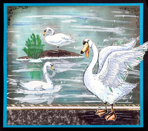 Swan Jovi Clear Stamp Set PI227 Pink Ink