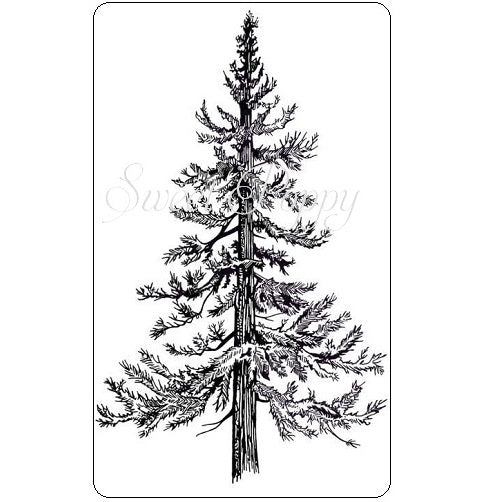 Large Fir Tree Stamp Sweet Poppy SPSTMP_lgefirtree