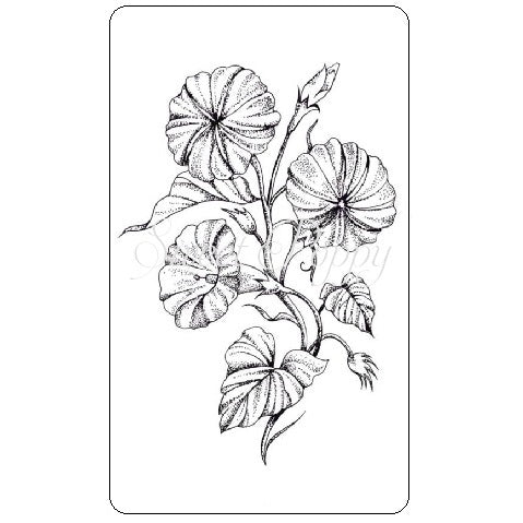 Moon Flower Clear Stamp Sweet Poppy SPSTMP_moonflower