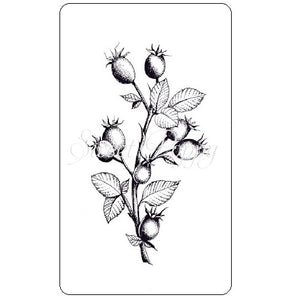 Rose Hip Stamp Sweet Poppy SPSTMP_rosehip