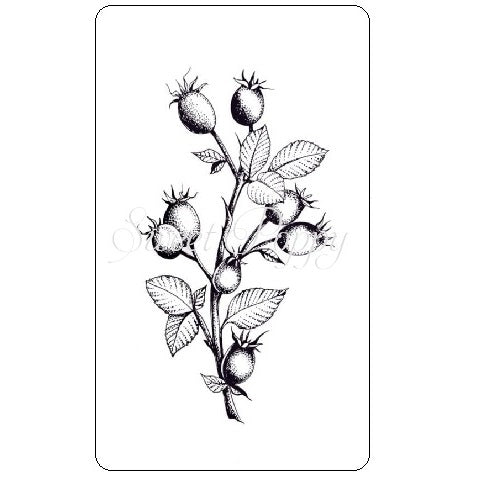 Rose Hip Stamp Sweet Poppy SPSTMP_rosehip