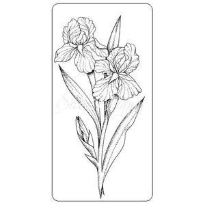 Iris Stamp Sweet Poppy SPSTMP_iris