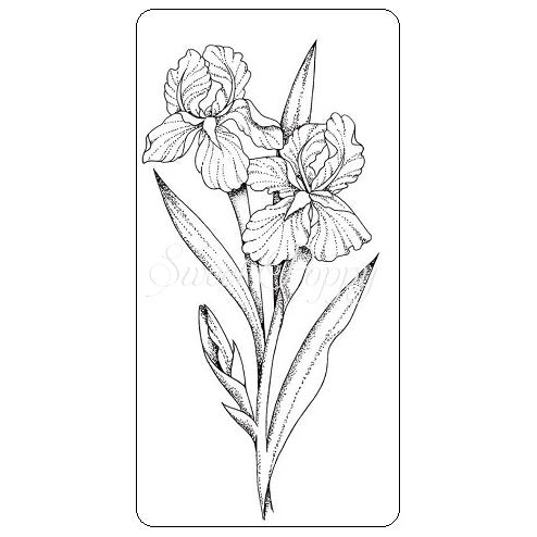 Iris Stamp Sweet Poppy SPSTMP_iris