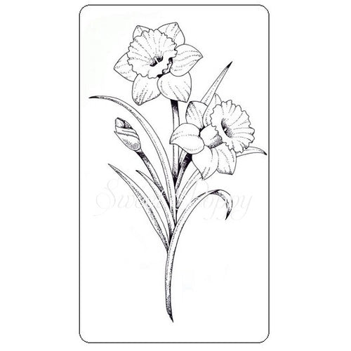 Daffodil Stamp Sweet Poppy SPSTMP_daffodil