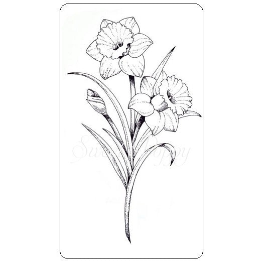 Daffodil Stamp Sweet Poppy SPSTMP_daffodil