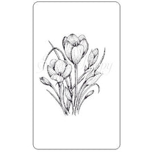 Load image into Gallery viewer, Crocus Stamp Sweet Poppy SPSTMP_crocus