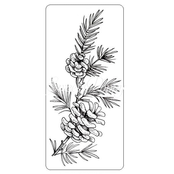 Pinecone Sprig Stamp Sweet Poppy SPSTMP_PINECONESPRIG