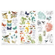 Load image into Gallery viewer, Birdsong - Blendable Rub-on Transfers 49 &amp; Market BSK-29499