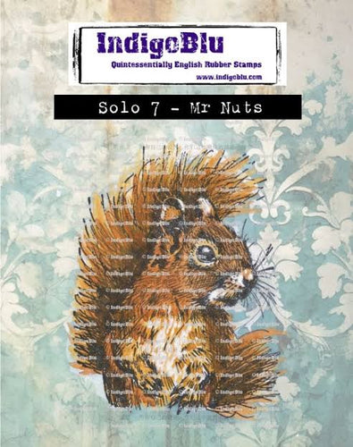 Mr Nuts - Solo 7 IndigoBlu IND1384