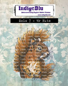 Mr Nuts - Solo 7 IndigoBlu IND1384