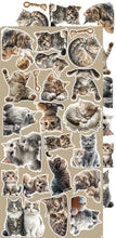 Load image into Gallery viewer, Cats Creative Extras Craft O Clock CC-CEX-03