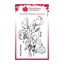 Load image into Gallery viewer, Sweet Pea 3”x4” Clear Stamp Woodware FRM075