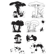 Load image into Gallery viewer, Sizzix™ A5 Clear Stamps Set 10PK w/2PK Framelits® Die Set Painted Pencil Mushrooms by 49 and Market 666637