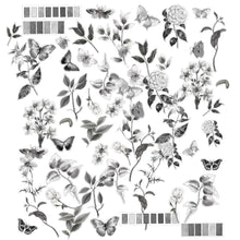 Load image into Gallery viewer, Charcoal - Acetate Assortment 49 &amp; Market CCS27495