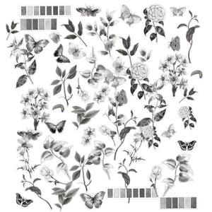 Charcoal - Acetate Assortment 49 & Market CCS27495