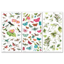 Load image into Gallery viewer, Kaleidoscope - Botanical Rub On Transfers 49 &amp; Market KAL27198