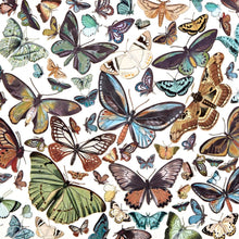 Load image into Gallery viewer, Nature Study - Wing Laser Cut Elements 49 and Market