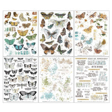 Load image into Gallery viewer, Nature Study - Wings NS-23299 Rub On Transfer Set 49 and Market