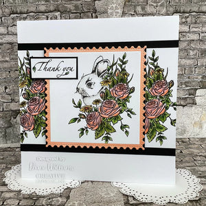 Rosy Whiskers 4x6 Stamp Set UMSDB151