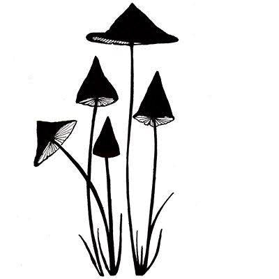 Slender Mushrooms LAV150