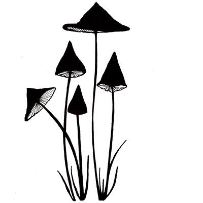 Slender Mushrooms - Mini LAV151
