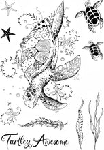 Load image into Gallery viewer, Sea Turtle PI019