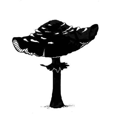 Toadstool LAV208