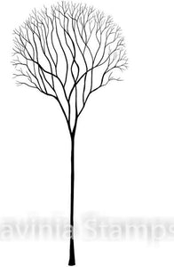 Single skeleton Tree