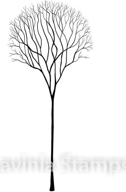 Single skeleton Tree