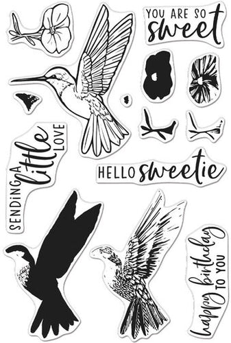 Colour Layering Hummingbird