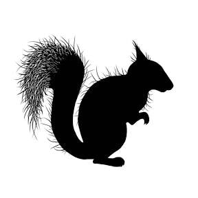 Red Squirrel LAV442