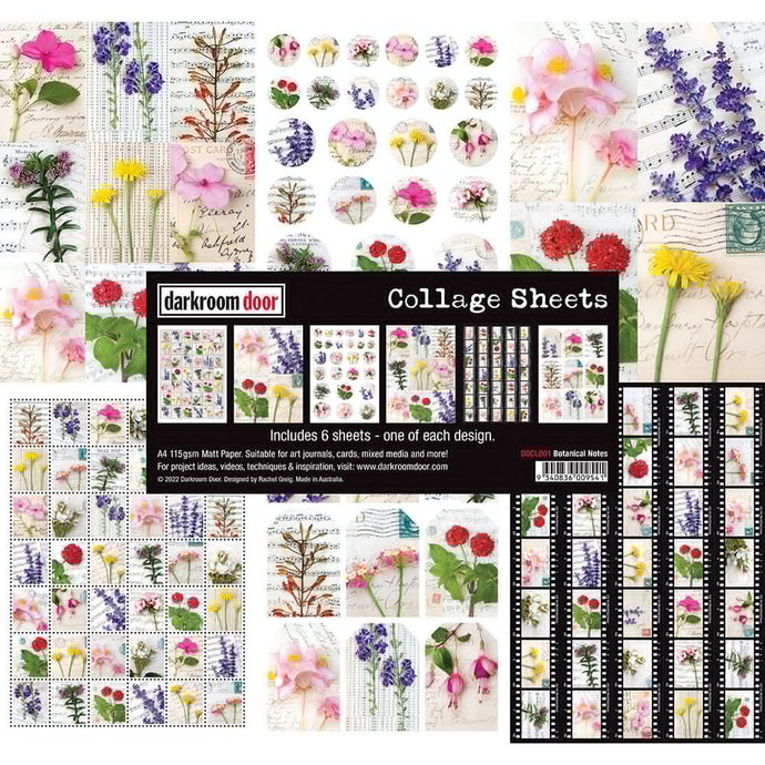 Botanical Notes Collage Sheets DDCL001 by Darkroom Door